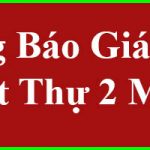 báo giá xây thô biệt thự 2 mặt tiền