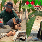 Bỏ túi ngay 5 mẹo lựa chọn và xây tường gạch chuẩn của Minh Phương