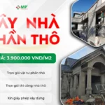giá xây nhà thô năm 2026